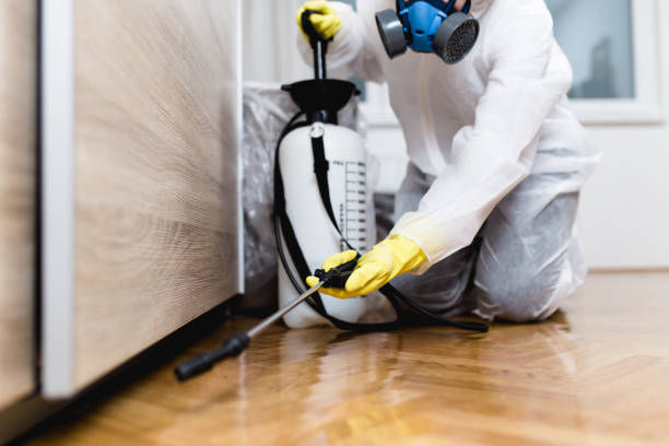 Best Pest Control Cost  in Sand Lake, MI