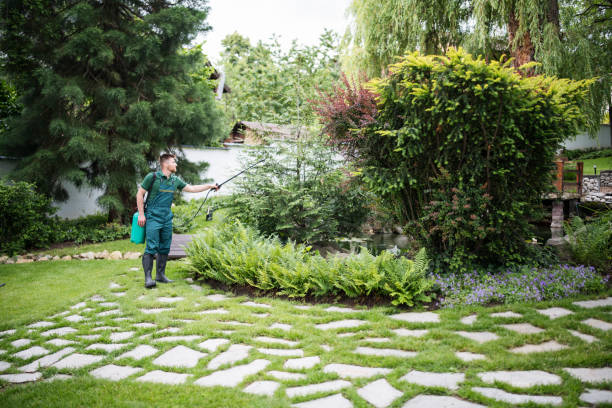 Best Pest Control Near Me  in Sand Lake, MI