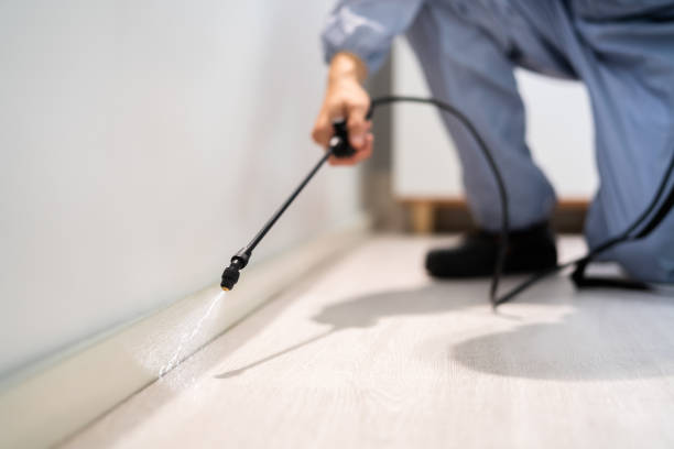 Best Flea Control Services  in Sand Lake, MI