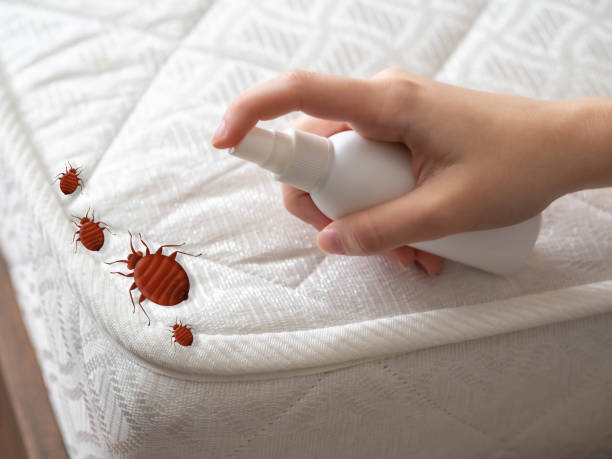 Best Affordable Pest Control Services  in Sand Lake, MI
