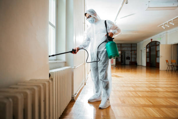 Best Affordable Pest Control Services  in Sand Lake, MI